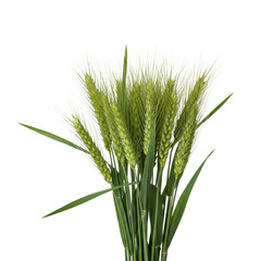 Fototapeta premium A close up of vibrant green wheat stalks with developing grain heads. Ideal for themes of agriculture, harvest, growth, and natural food production.