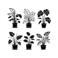 Silhouette design elements for design universal template, simple template design isolated on white background.