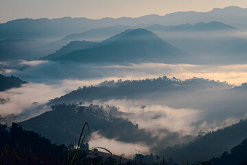 High-angle view of the mountain with lush green forest in Thailand. There is fog covering around in the morning. Fresh trees in the winter season. The idea for a nature background with copy space.