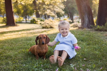 three year old girl, playing with her dog dachshund on a green grass in a park