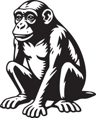 Obraz premium Sitting Chimpanzee Black and White Illustration
