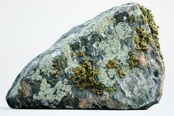 Fototapeta premium Large moss-covered boulder, weathered and textured, showing signs of age and natural growth.