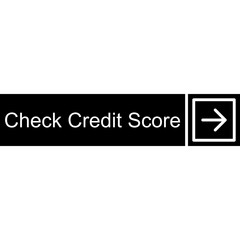 Check Credit Score Vector Icon