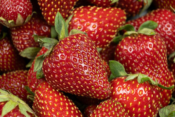 Berry summer background. Close-up of fresh strawberries