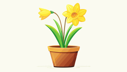 Fototapeta premium Yellow daffodil with trumpet-shaped bloom facing slightly upward, green stalks clustered in a small ceramic pot, cheerful presence emphasized by high-key lighting and minimalist white setting.