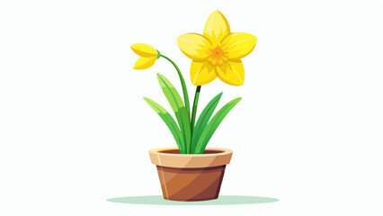 Yellow daffodil with trumpet-shaped bloom facing slightly upward, green stalks clustered in a small ceramic pot, cheerful presence emphasized by high-key lighting and minimalist white setting.

