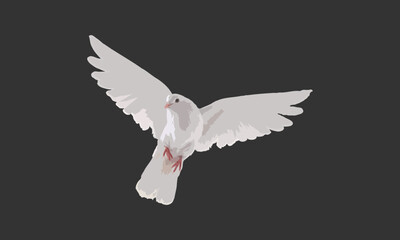 Vector flying pigeon  design fully editable high quality