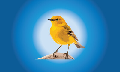 Vector yellow bird design fully editable high quality