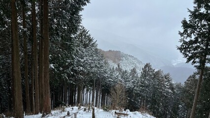 雪山
