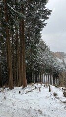 雪山