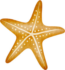 Isolated watercolor starfish with five arms and white dots in close up view on transparent background.