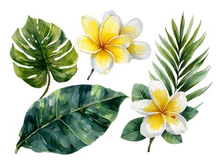 Watercolor Tropical Botanical Collection with Hand Painted Exotic Leaves Pink Hibiscus and Floral Elements on White Background for Summer Design and Decoration © fathiya