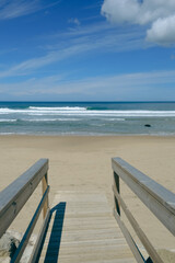 Wooden path on the beach in a summer day