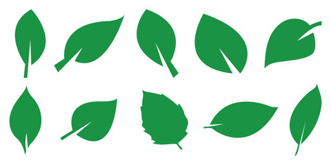 Set of green leaf icons. Leaves of trees and plants icon. Elements design for natural, eco, bio, vegan labels. leaf herb green simple graphic pictogram. Vector illustration. 