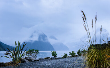 Clouds drifting around moody Milford Sound. Fiordland National Park. South Island. New Zealand.