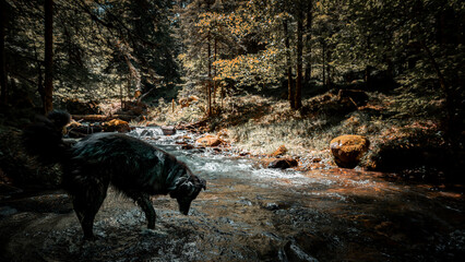 canton de neste june peche