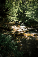 canton de neste verticale chemin