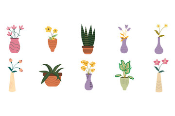 Floral Plant In The Vase