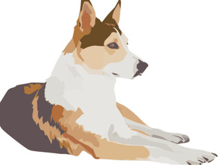 Dog vector illustration