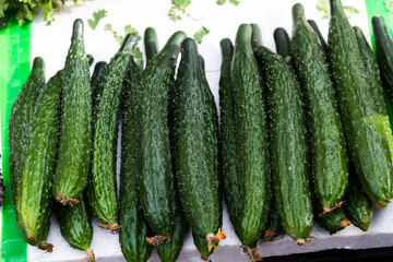 Pile of fresh cucumbers in market