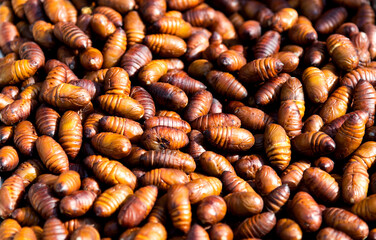 A pile of silkworm pupae in market