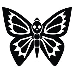 black and white butterfly