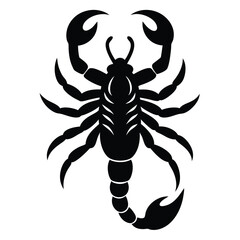 scorpion tattoo vector