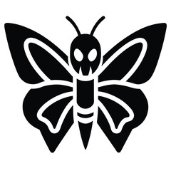 black and white butterfly