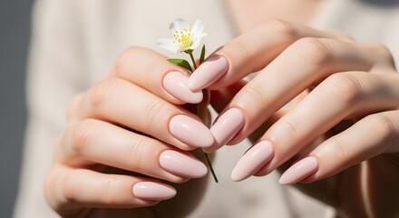 Fototapeta premium Elegant female hands with a perfect nude pink manicure gently holding a delicate white wildflower. A concept of natural beauty, skincare, and gentle femininity.