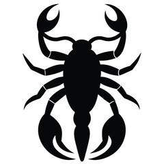 black scorpion isolated on white background