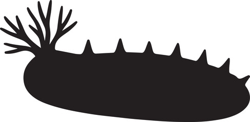 sea cucumber vector