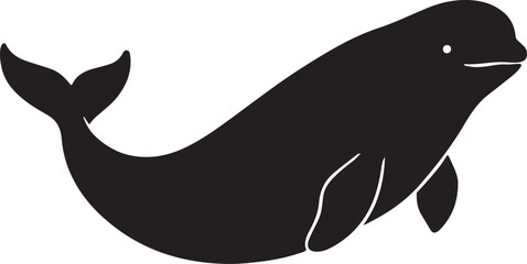 beluga whale vector