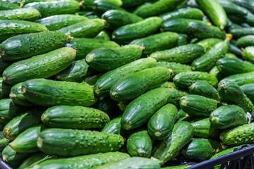 Pile of fresh cucumbers in market