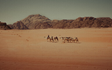 Camel Caravan Crossing Wadi Rum Desert in Jordan