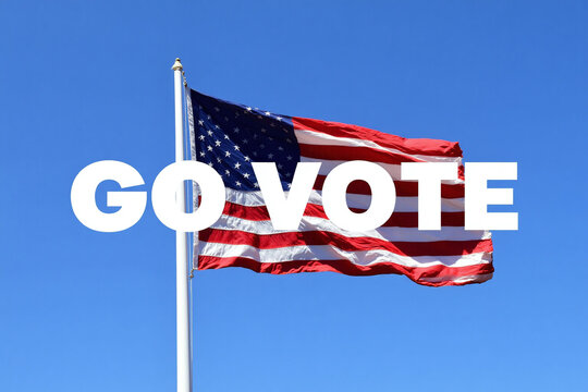 american flag with the words go vote on it