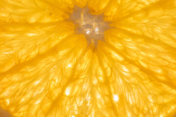 The photograph shows the surface details of a halved orange, studio light from behind.