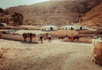 Traditional Horse Stable in a Rural Jordanian Village