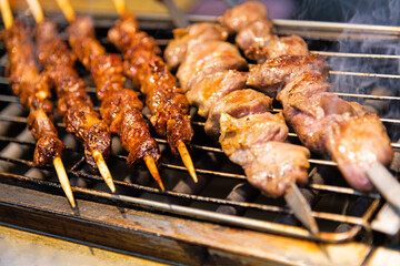 Meat skewers on the grill
