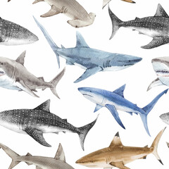 Seamless Watercolor Shark Pattern. Ocean Predator Illustration for Kids and Fabric