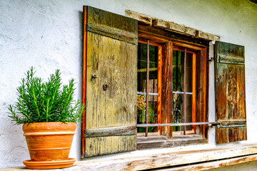 Bright sunny day with potted plants by the window in a cozy room surrounded by nature in the...