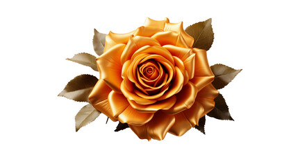 Beautiful golden rose blossom with detailed petals and leaves, on a clean white background for creative designs transparent.