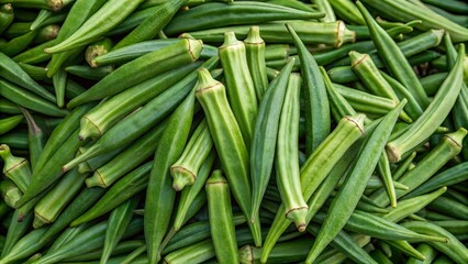 Fototapeta premium Fresh raw okra green beans background. Suitable for marketing or business purposes. Panoramic banner with place for text