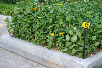 Garden and weekend farm garden in apartment complex