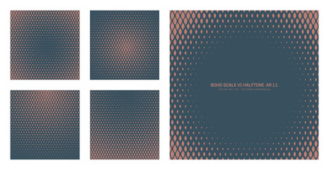 Assorted vector boho scale grid halftone vintage pattern set in square 1:1 aspect ratio including round frame and various radial textures. Varied old fashioned half tone textured design element bundle