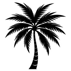 Obraz premium palm tree silhouette vector on white background