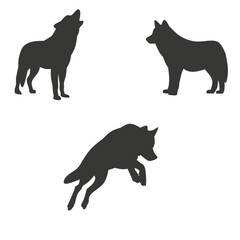 wolf black silhouette
