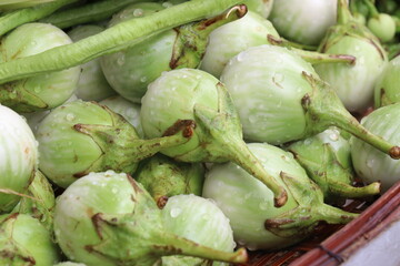 Thai eggplant in a fresh vegetable shop