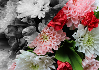 Fototapeta premium Beautiful Bouquet of Flowers Split in Colors on Colored and Grayscale Segments. Duality and Broken Feelings Concept Photo 