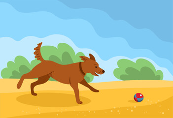 A young dog runs after the ball in outdoor. Vector illustration.