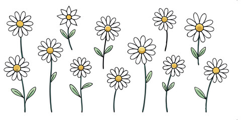 Daisy Delight: A collection of delicately illustrated daisy flowers stand tall, their white petals radiating purity and the yellow center representing the sun, a symbol of growth and innocence.